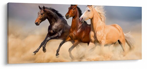 Kép - Vad lovak (120x50 cm)