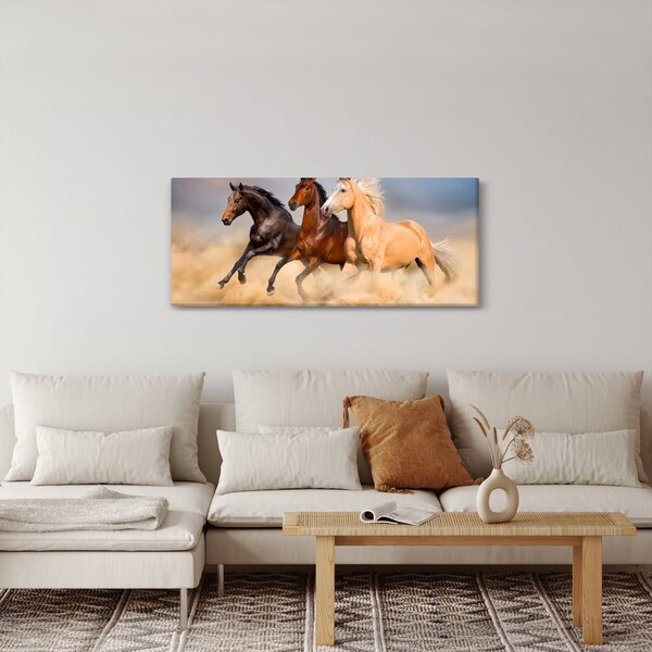 Kép - Vad lovak (120x50 cm)