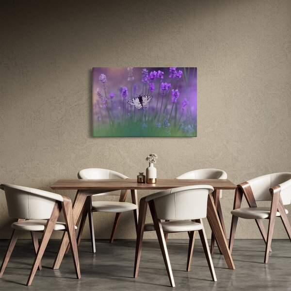 Kép - Pillangó a levendulán (90x60 cm)