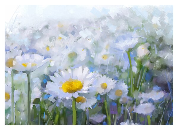 Kép - Százszorszépekben (70x50 cm)