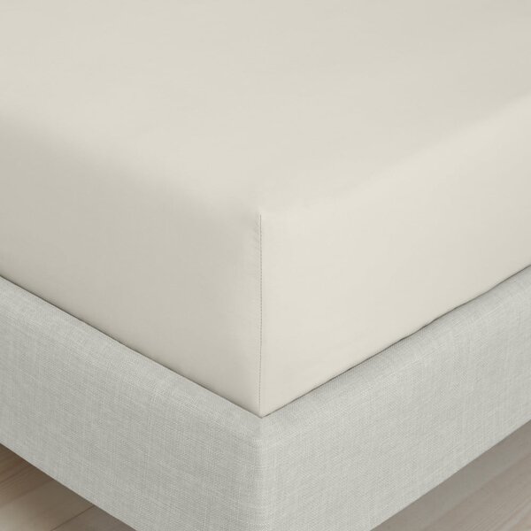 Bézs gumis pamut-perkál lepedő 185x200 cm Cotton Percale – Bianca