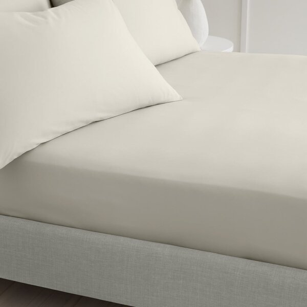 Bézs gumis pamut-perkál lepedő 185x200 cm Cotton Percale – Bianca