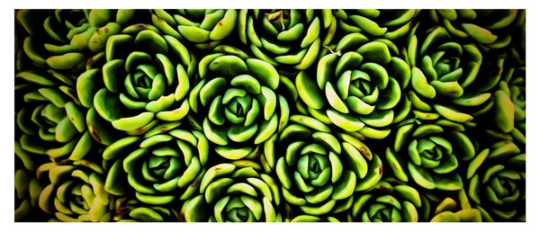 Sziklák képe (120x50 cm)