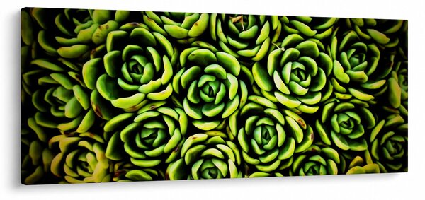 Sziklák képe (120x50 cm)