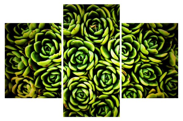 Sziklák képe (90x60 cm)