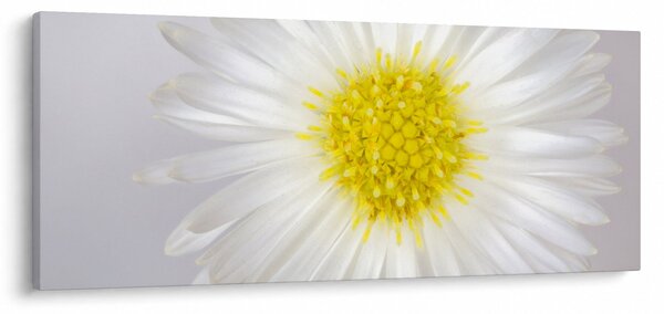 Kép - Margarita (120x50 cm)