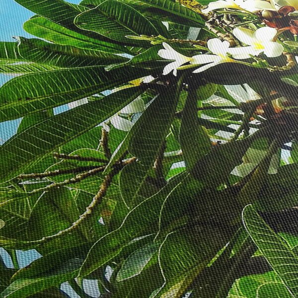 Kép - Plumeria (120x50 cm)