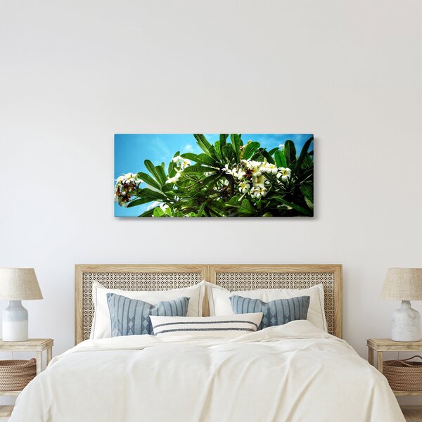 Kép - Plumeria (120x50 cm)