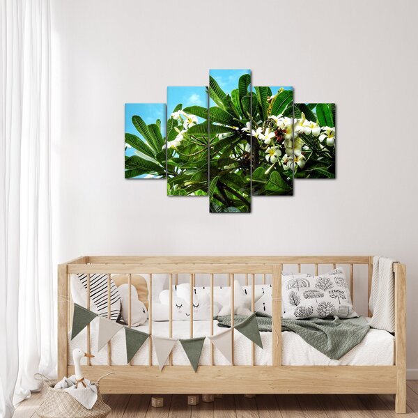 Kép - Plumeria (150x105 cm)