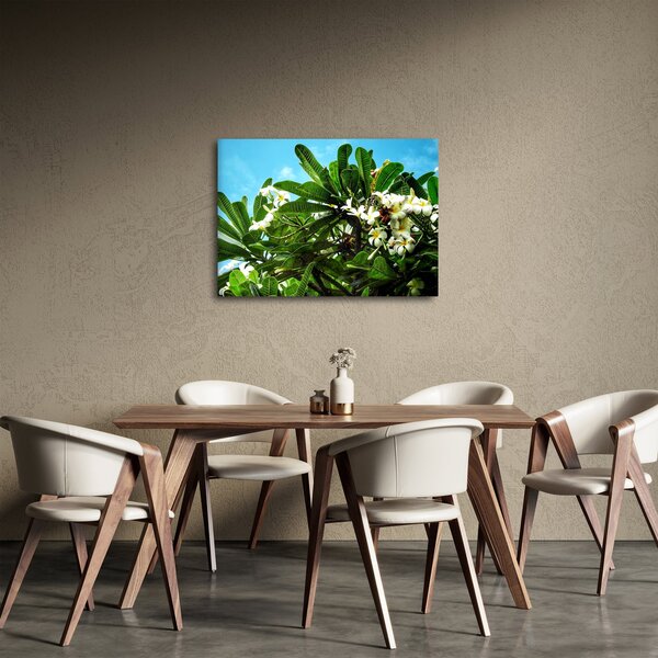 Kép - Plumeria (70x50 cm)