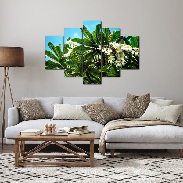 Kép - Plumeria (150x105 cm)