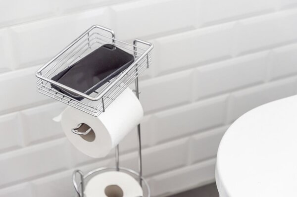Ezüstszínű krómozott acél WC-papír tartó állvány – Wenko
