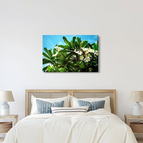 Kép - Plumeria (90x60 cm)
