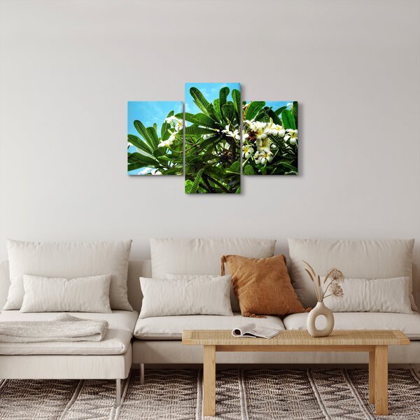 Kép - Plumeria (90x60 cm)