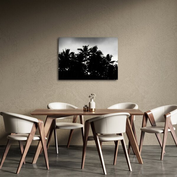 A fekete-fehér pálmafák képe (70x50 cm)