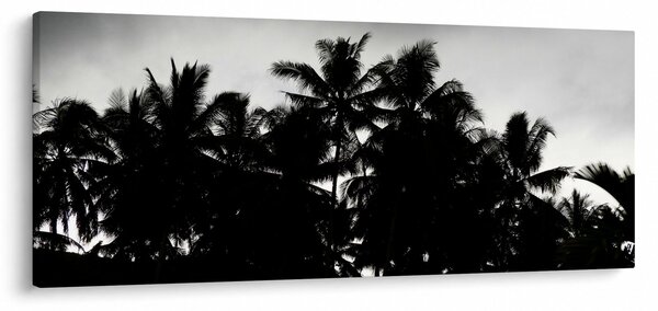 A fekete-fehér pálmafák képe (120x50 cm)