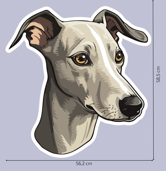 PIPPER. Matrica Whippet Méret: 60cm