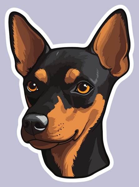 PIPPER. Matrica Miniatűr pinscher Méret: 60cm