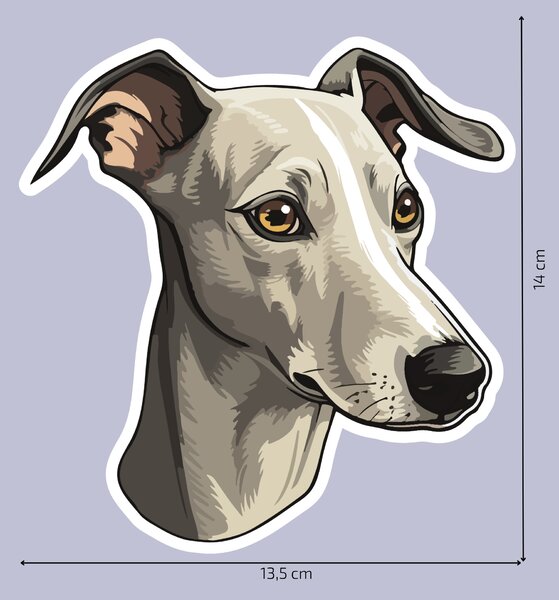 PIPPER. Matrica Whippet Méret: 60cm