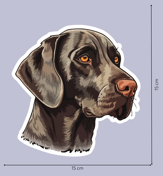 PIPPER. Matrica Weimaraner Méret: 60cm
