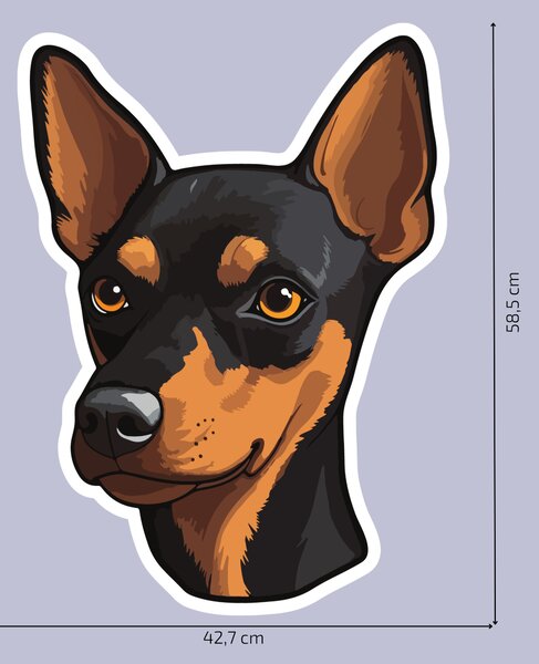PIPPER. Matrica Miniatűr pinscher Méret: 60cm