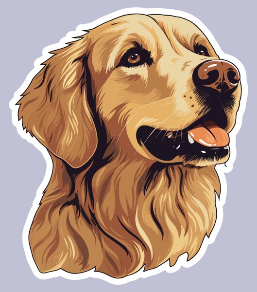 PIPPER. Matrica Golden retriever Méret: 60cm