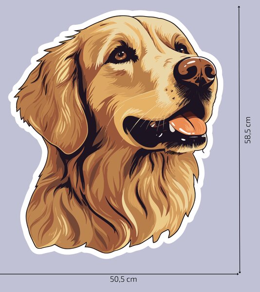 PIPPER. Matrica Golden retriever Méret: 60cm