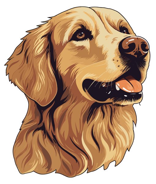 PIPPER. Matrica Golden retriever Méret: 60cm