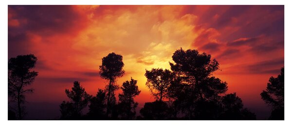 Naplemente képe (120x50 cm)