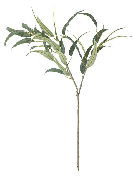 Eukaliptusz műnövény (magasság 85 cm) Eucalyptus – Bloomingville