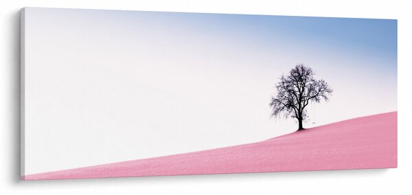 Kép - Rózsaszín álom (120x50 cm)