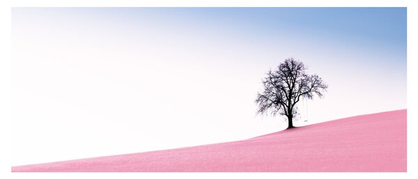 Kép - Rózsaszín álom (120x50 cm)