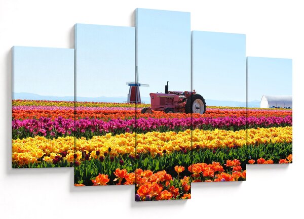Tulipánfarm képe (150x105 cm)
