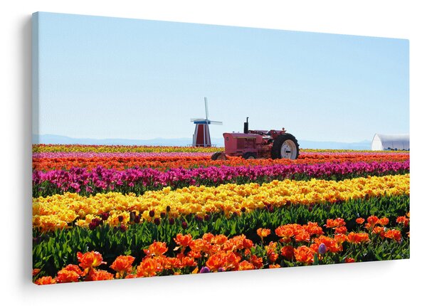Tulipánfarm képe (90x60 cm)