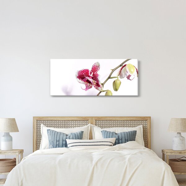 Orchidea virág képe (120x50 cm)