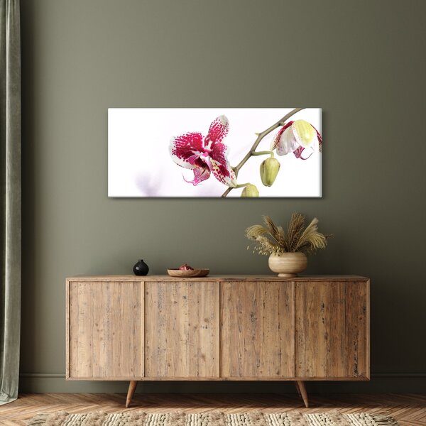 Orchidea virág képe (120x50 cm)