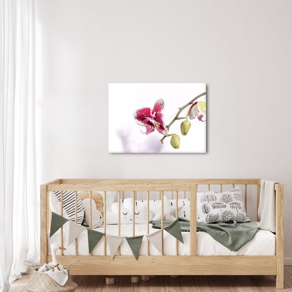 Orchidea virág képe (70x50 cm)