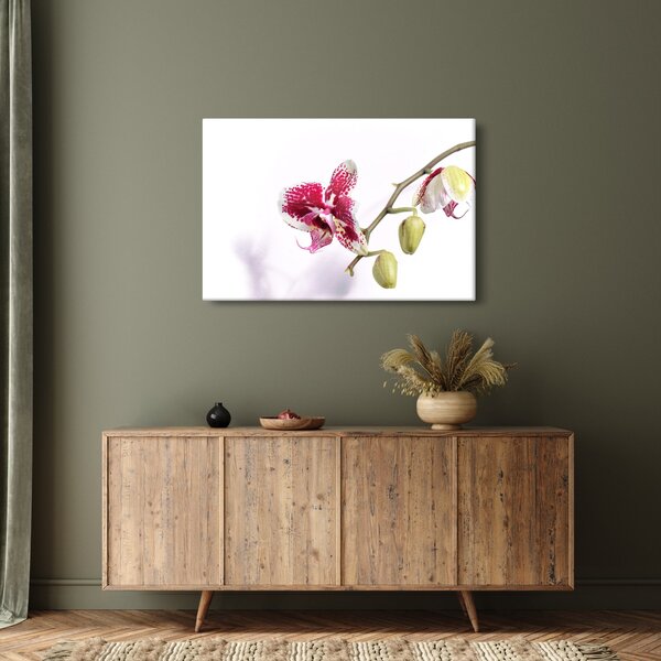 Orchidea virág képe (90x60 cm)