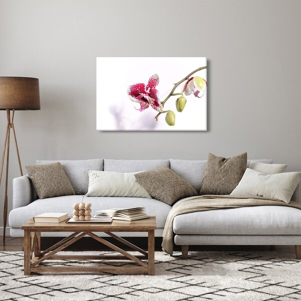 Orchidea virág képe (90x60 cm)