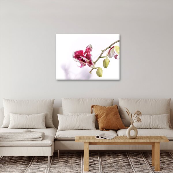 Orchidea virág képe (70x50 cm)