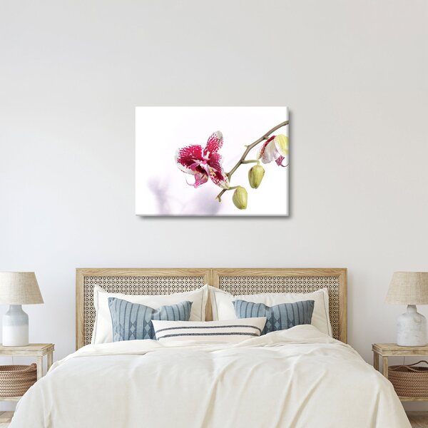Orchidea virág képe (70x50 cm)