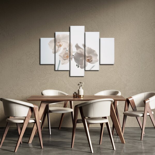Fehér orchidea képe (150x105 cm)