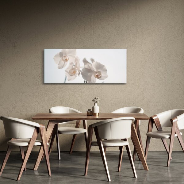 Fehér orchidea képe (120x50 cm)