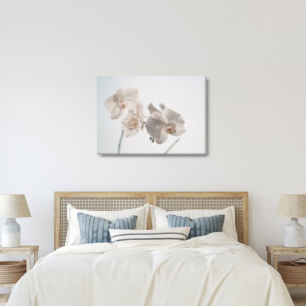 Fehér orchidea képe (70x50 cm)