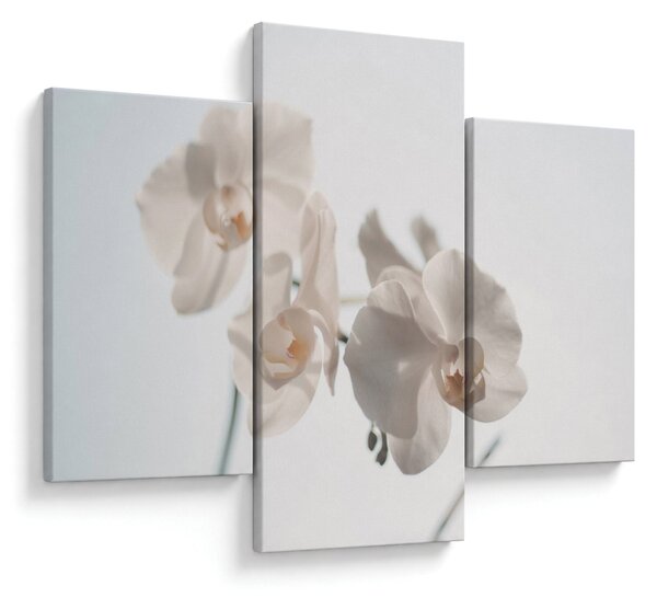 Fehér orchidea képe (90x60 cm)