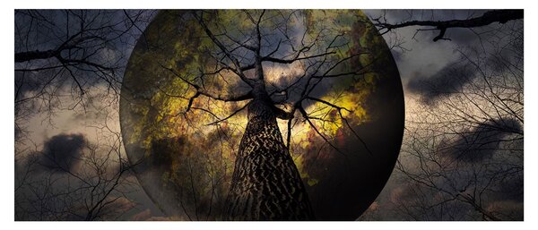 Kép - Titokzatos ég (120x50 cm)