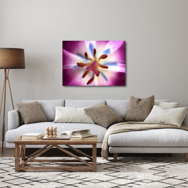 Kép - Tulipán virág részletesen (70x50 cm)