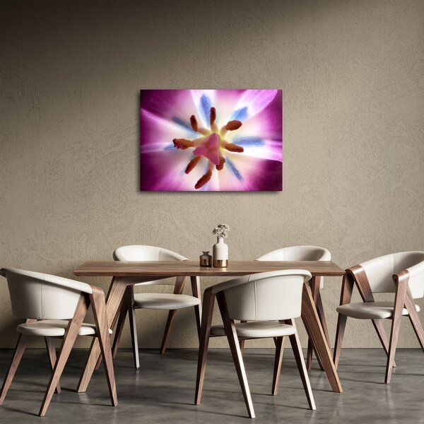 Kép - Tulipán virág részletesen (70x50 cm)