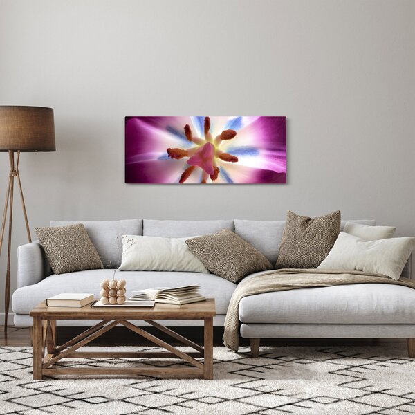 Kép - Tulipán virág részletesen (120x50 cm)