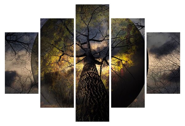 Kép - Titokzatos ég (150x105 cm)